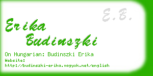 erika budinszki business card